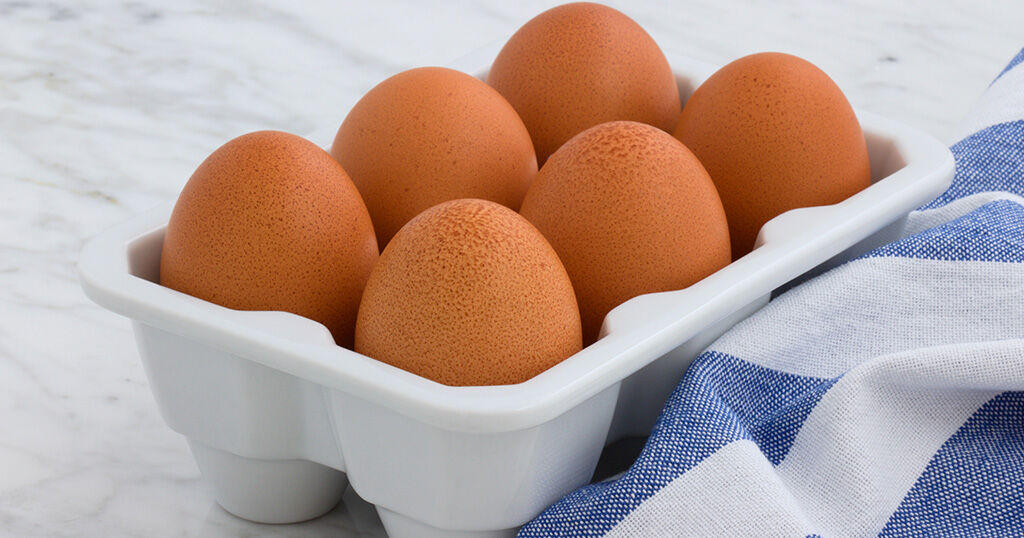 آیا تخم مرغ برای سگ مفید است ؟